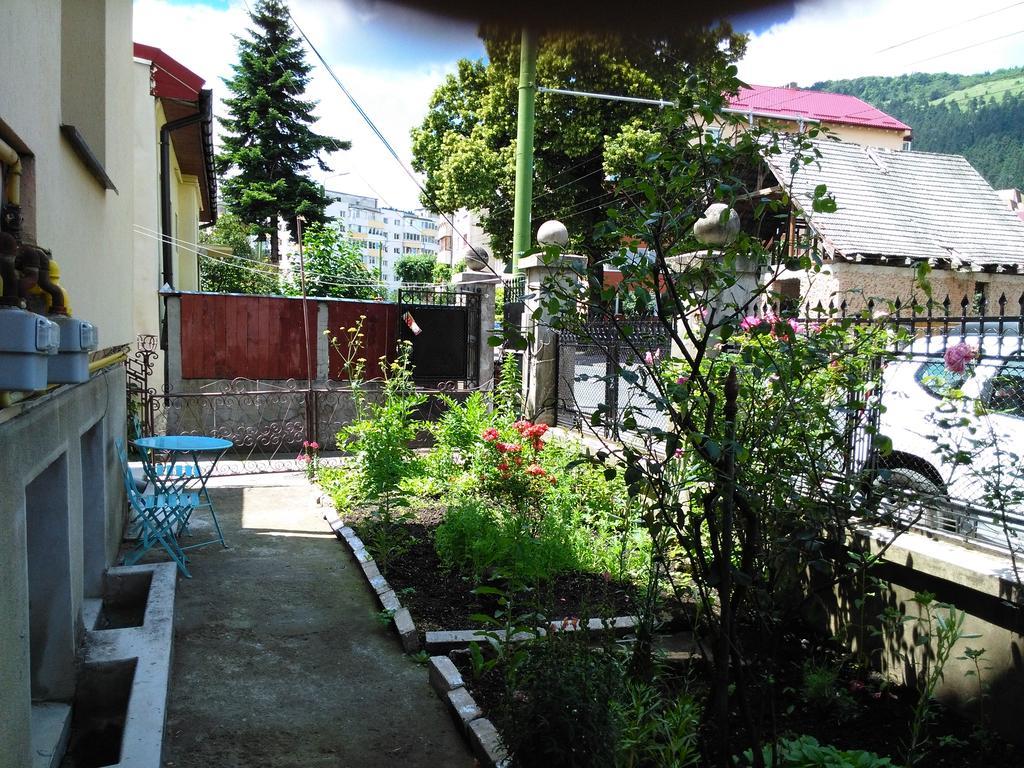 Apartament Nora Braszów Zewnętrze zdjęcie